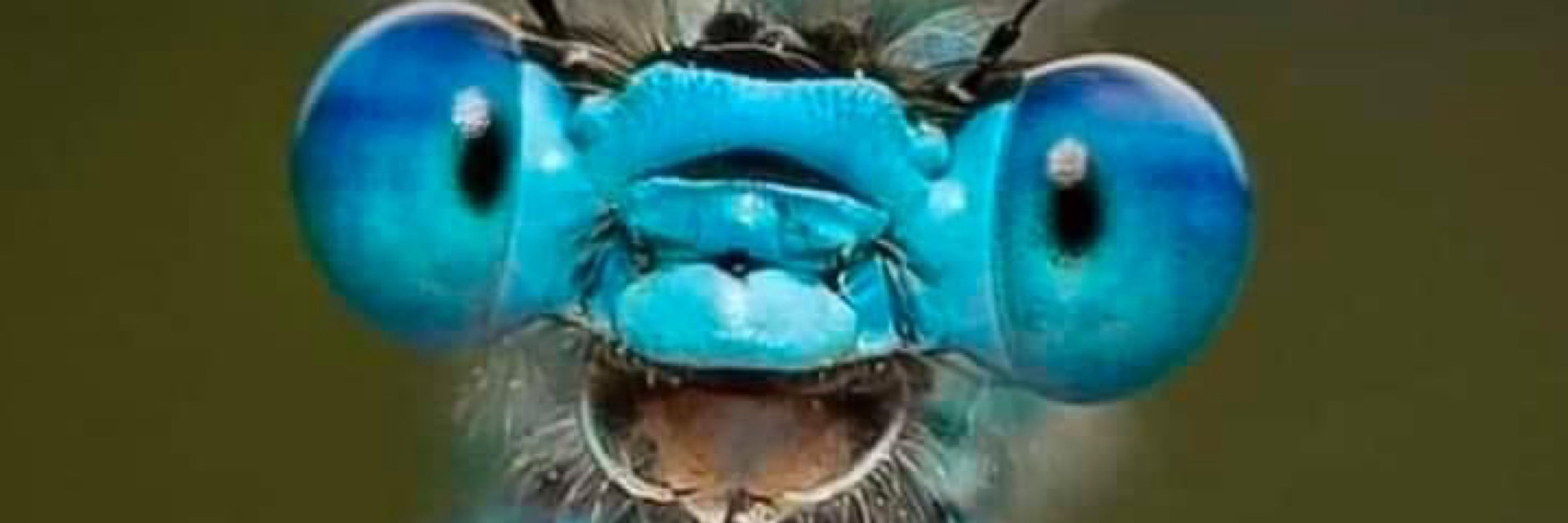 Mystiryiel