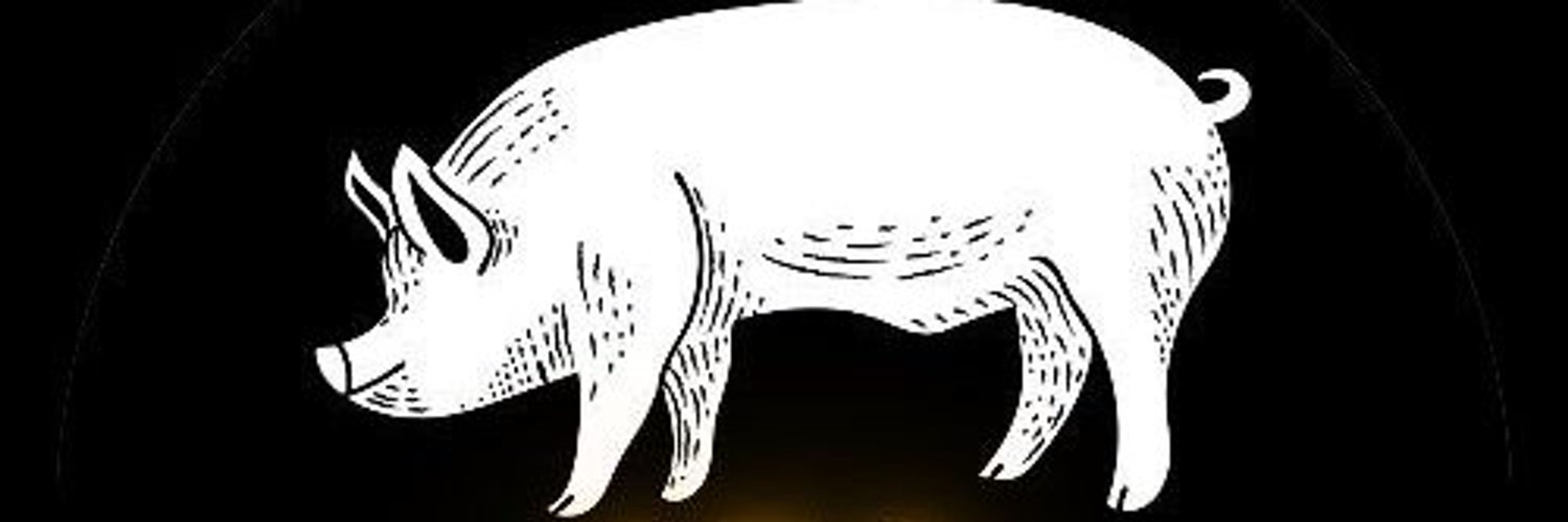 GioPig1969