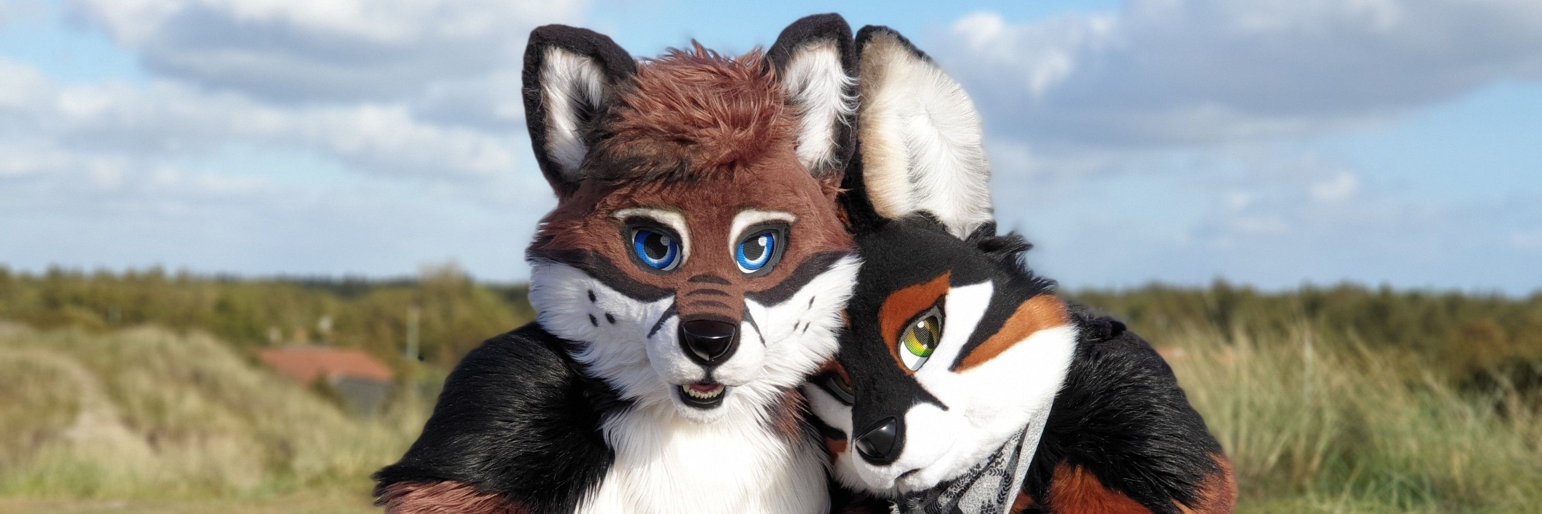 Drenky Fox