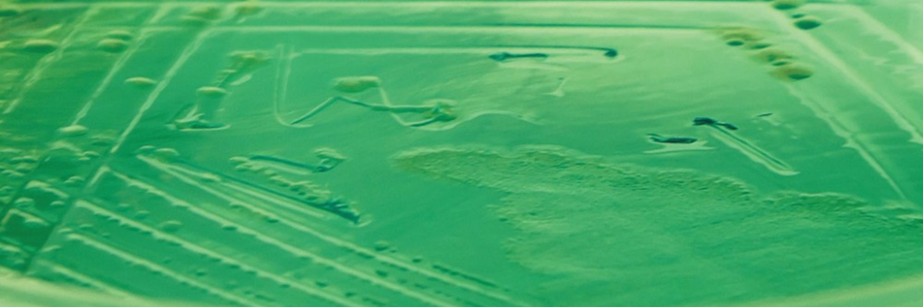 Pseudomonas Genome Database