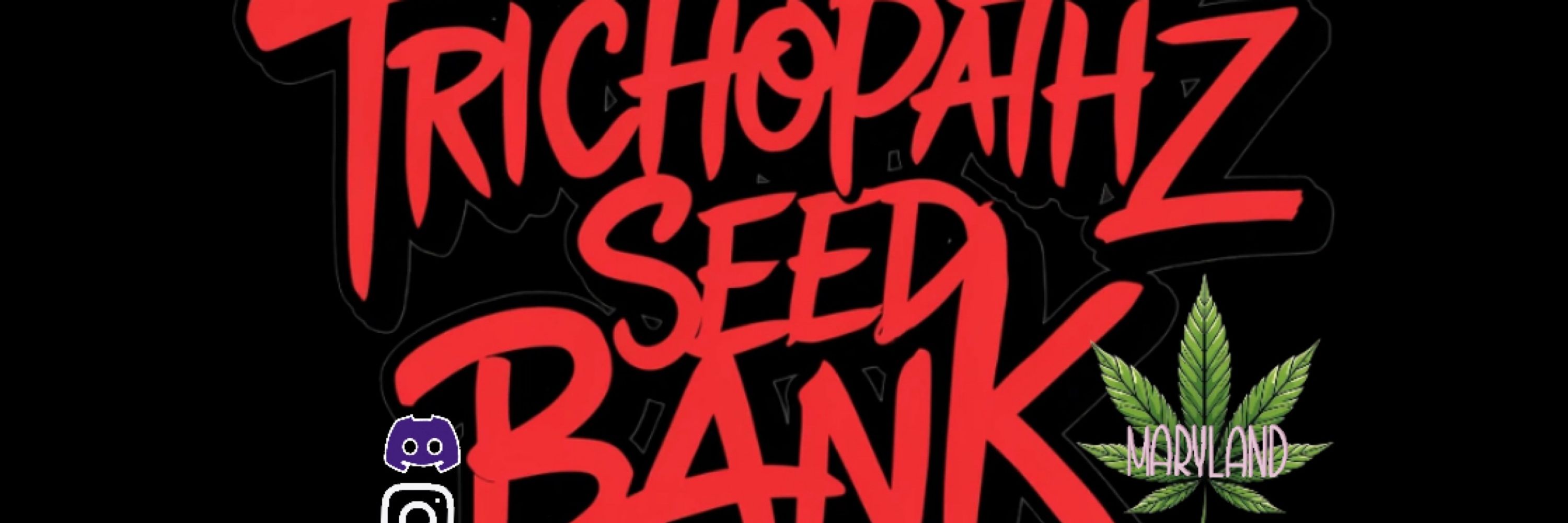 Trichopathz Seed Bank aka June Bug 🪲