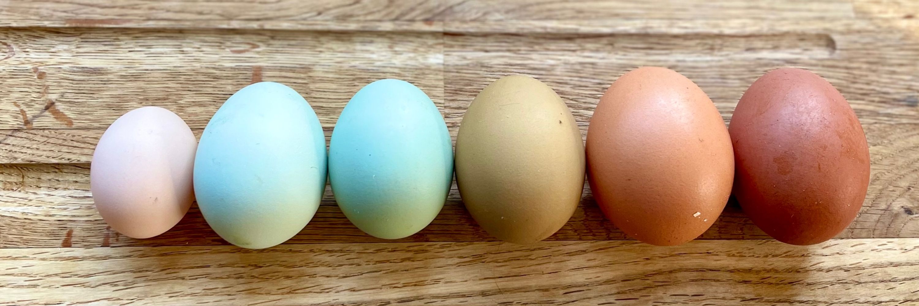 Eggs and Fluff
