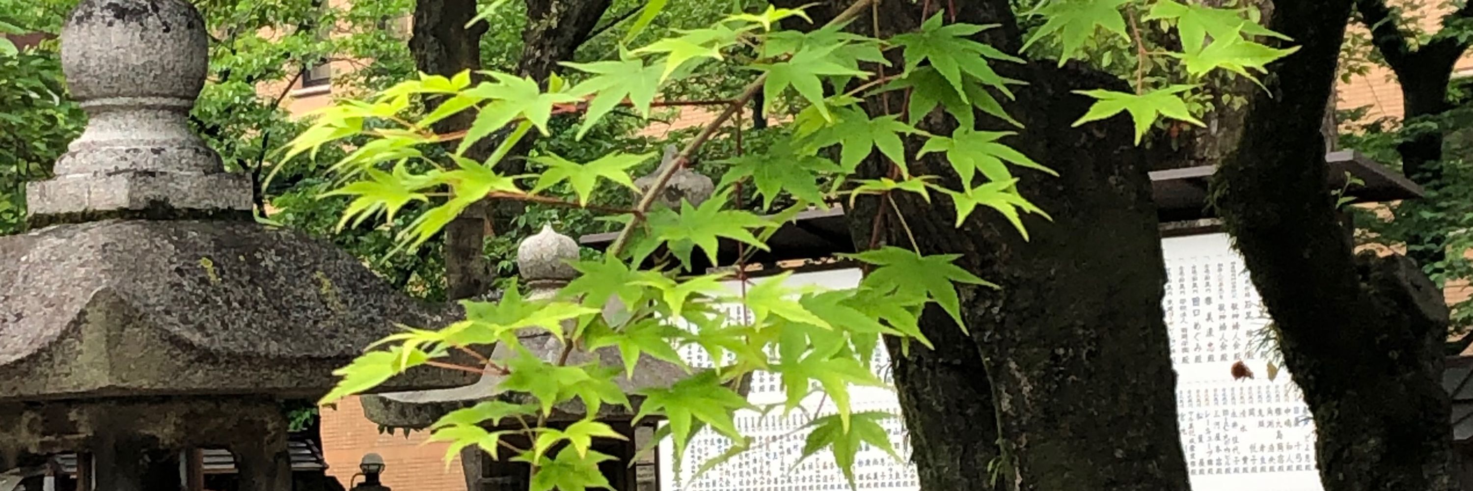 浅瀬　有為