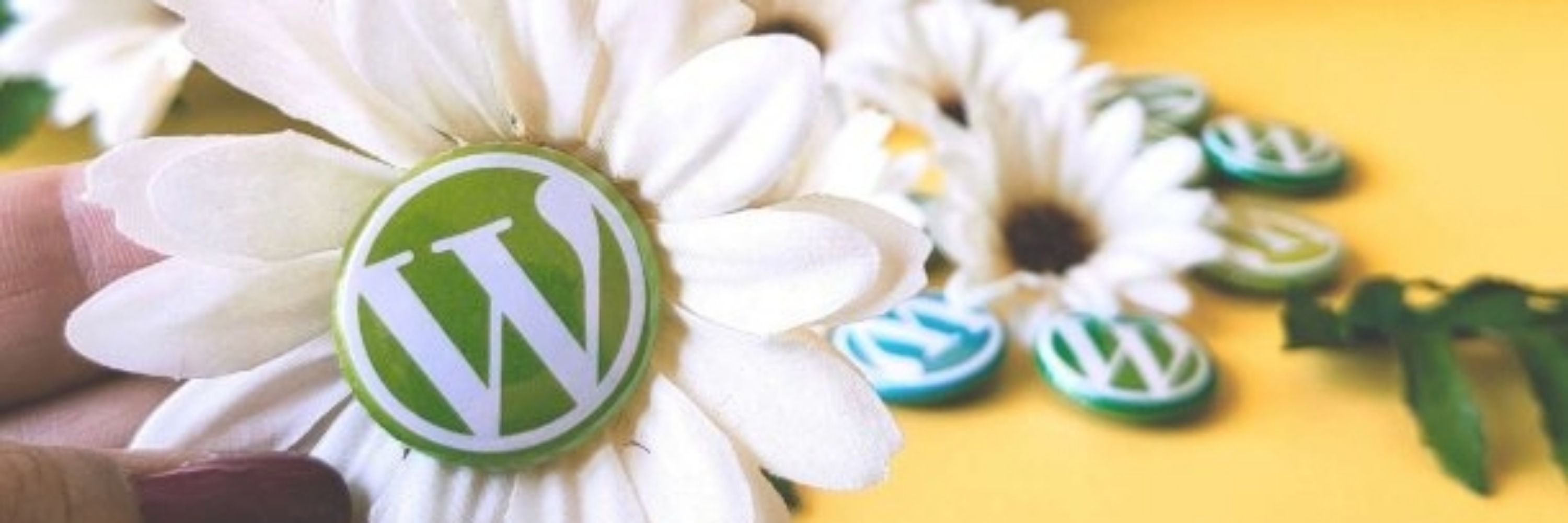 Margherita Pelonara - WordPress Expert for fempreneurs