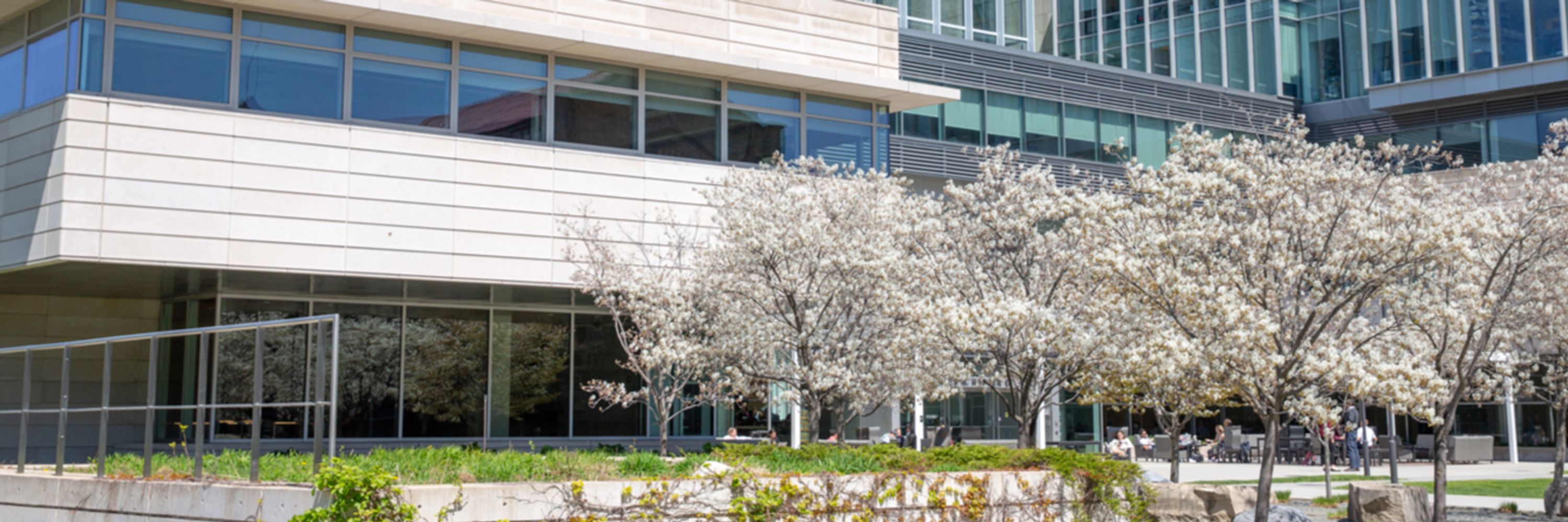 Clark Center for Global Markets