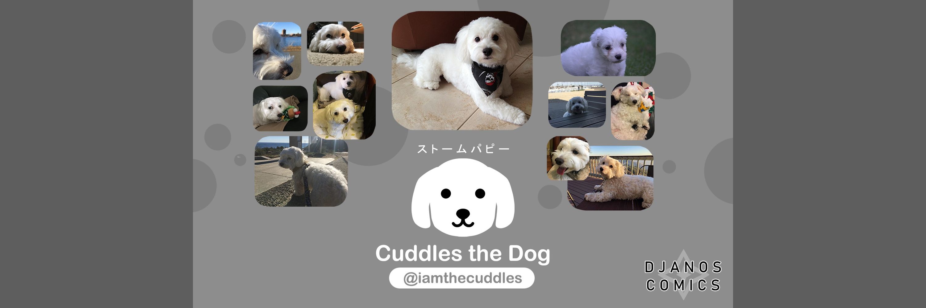 Cuddles the dog