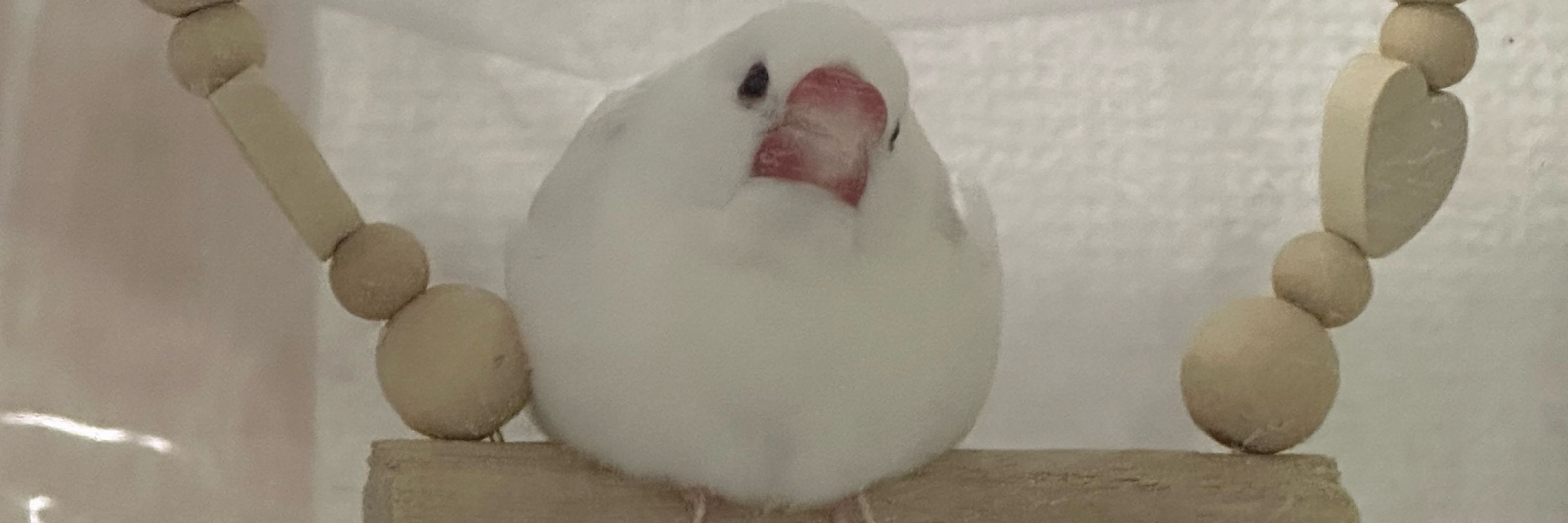 ゆうり