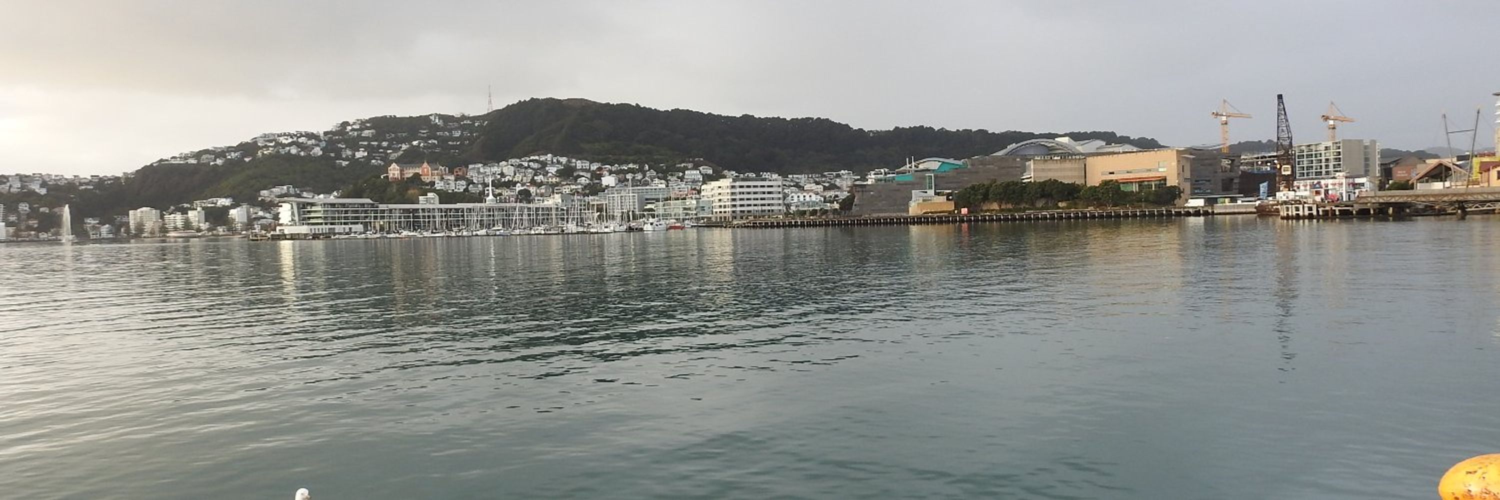 Edwin Rod