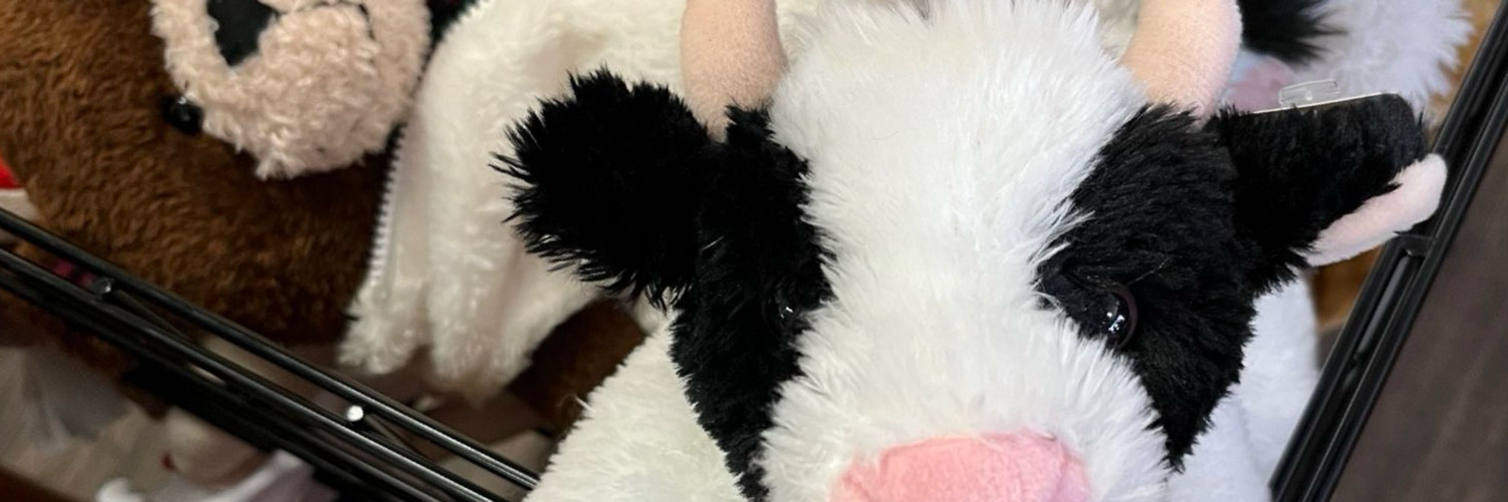 ElasticMoo (18+)