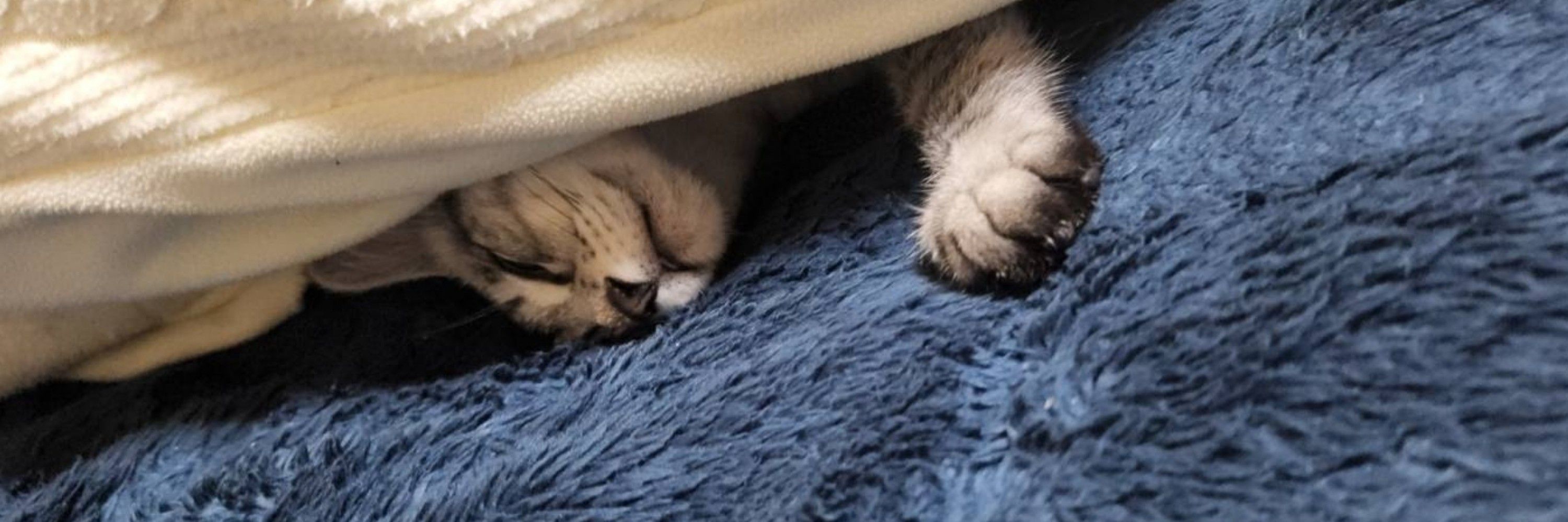 あ〜ちゃん