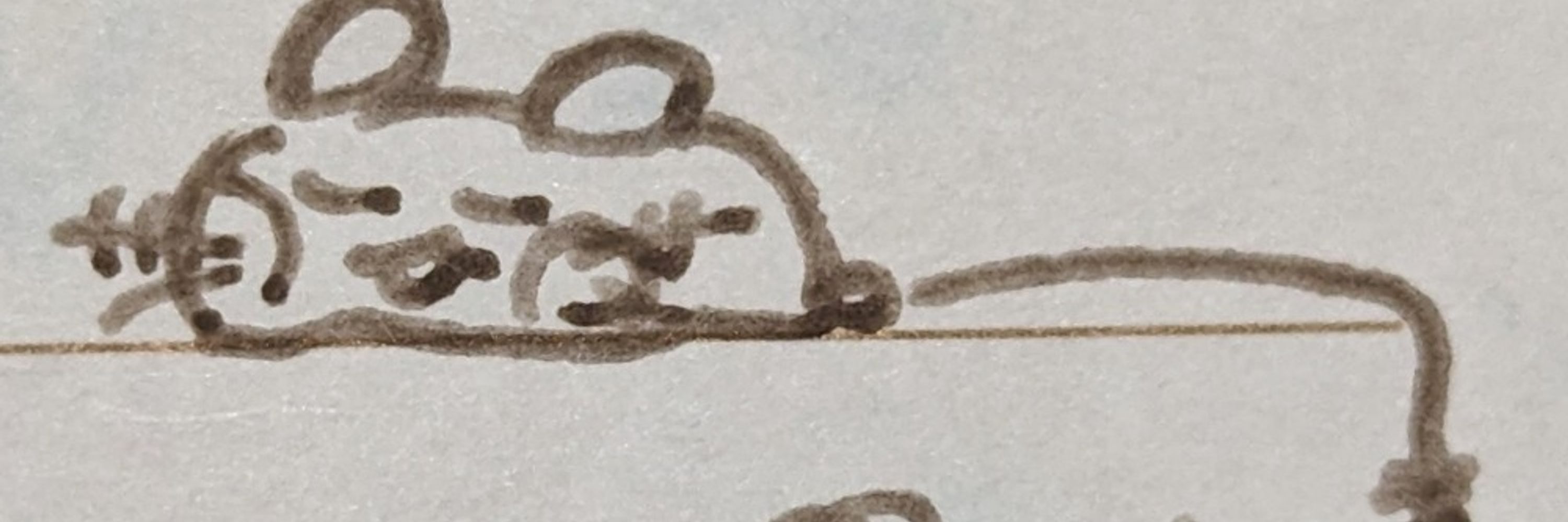ただの