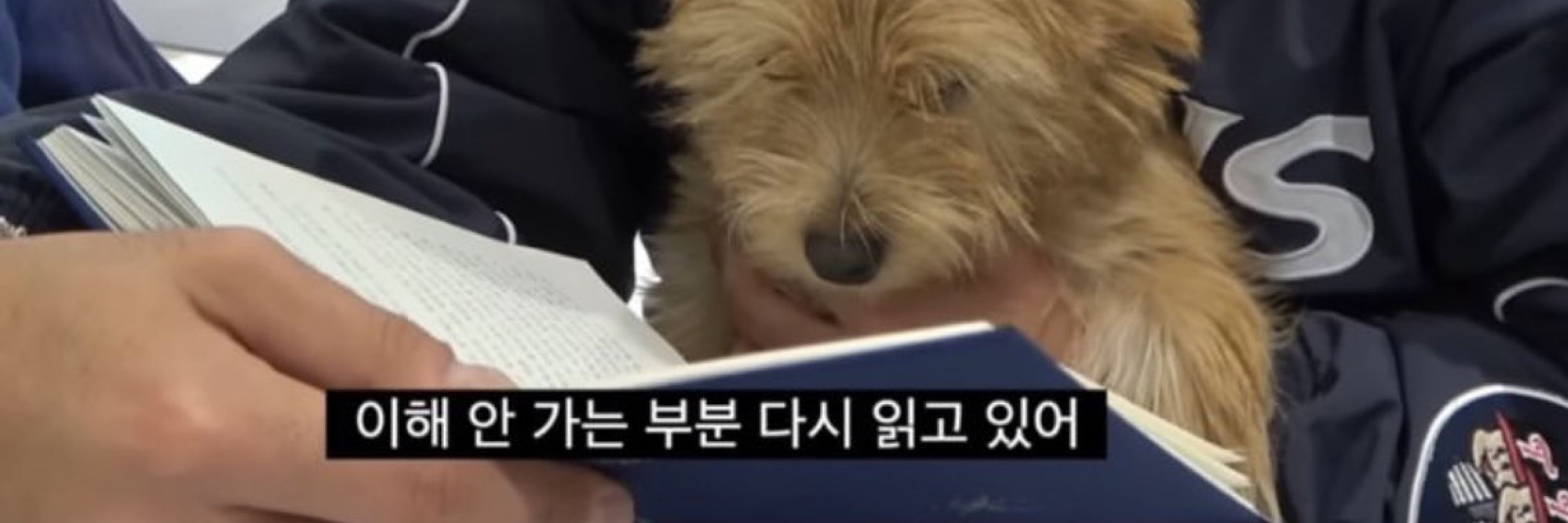 7무👻