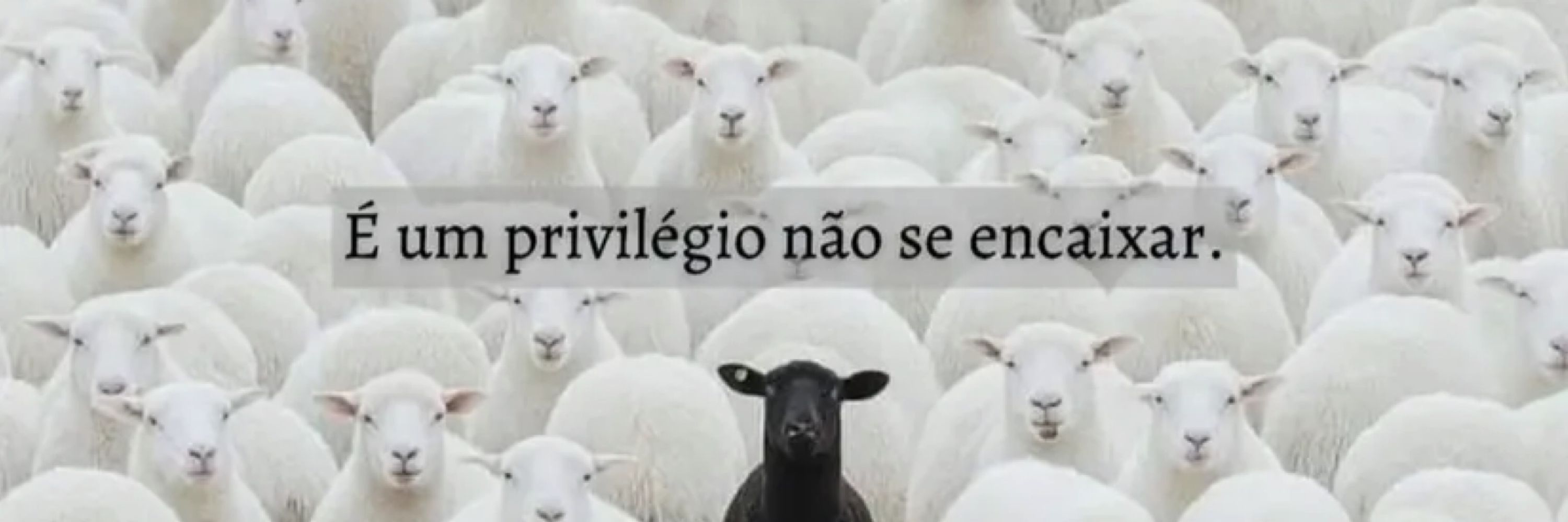 Babi