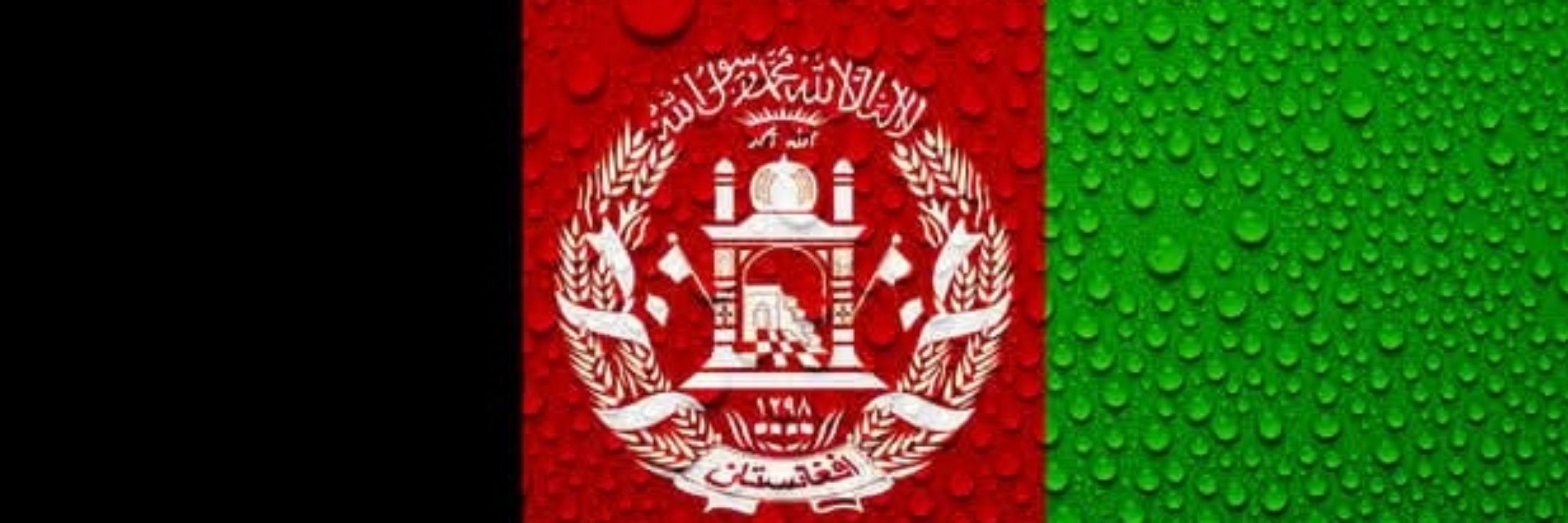 Wali Ul Rahman