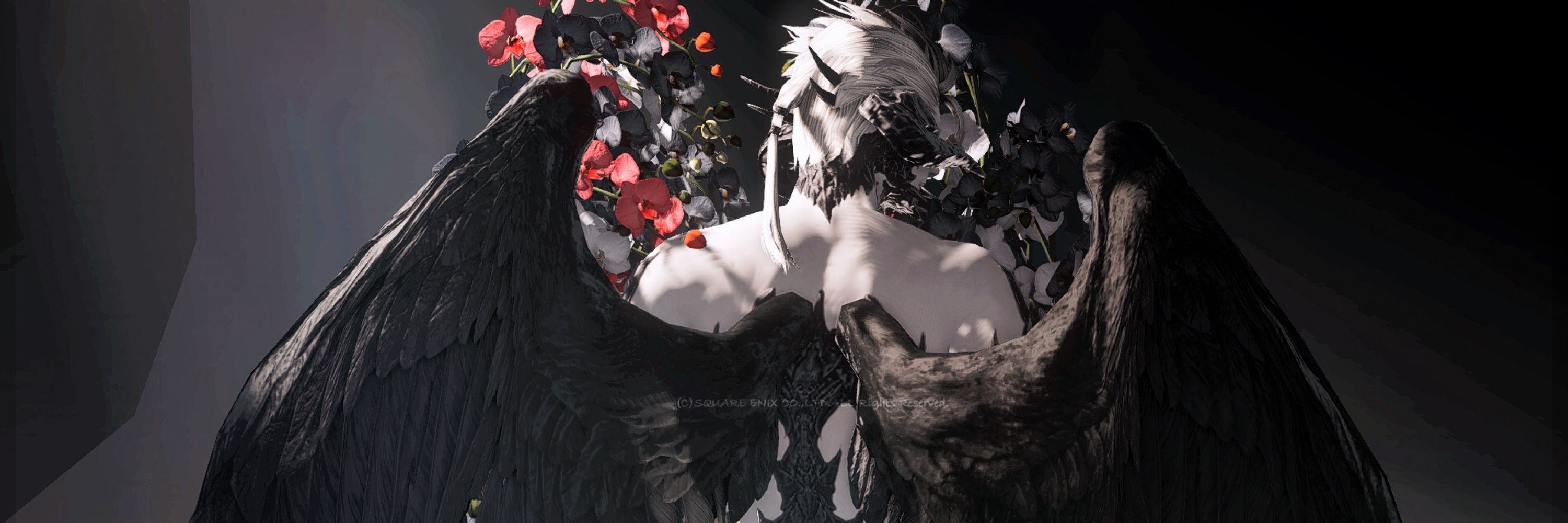 Dark Evans ❖ Typhon 🐊