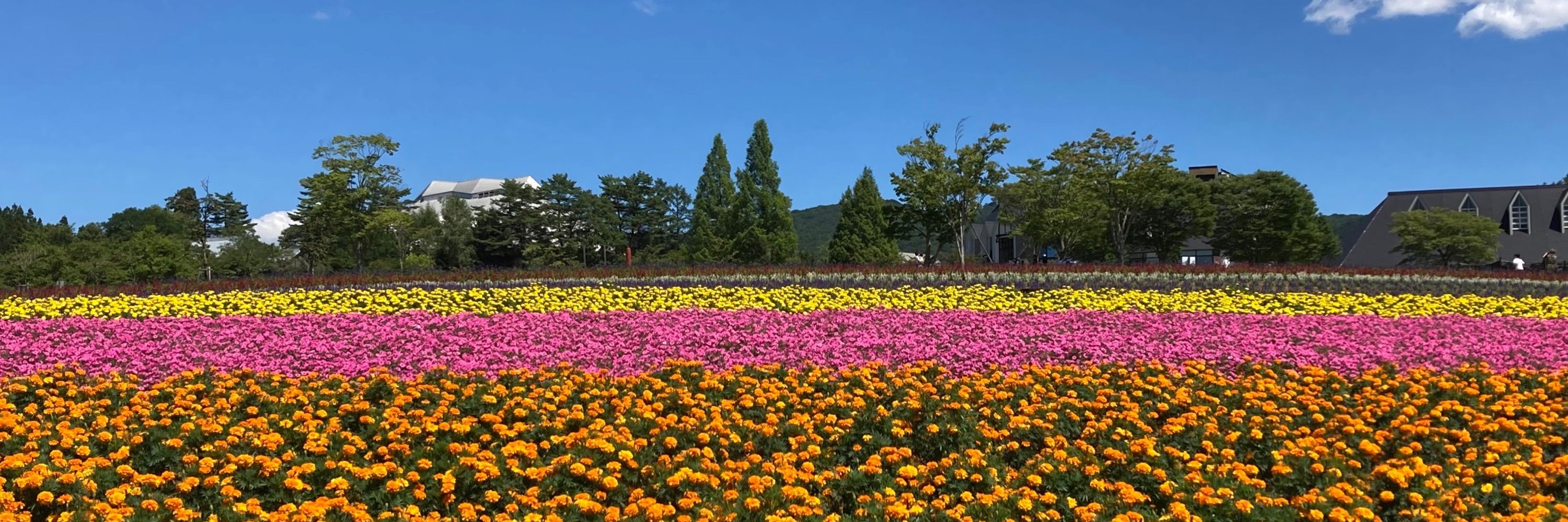みあん