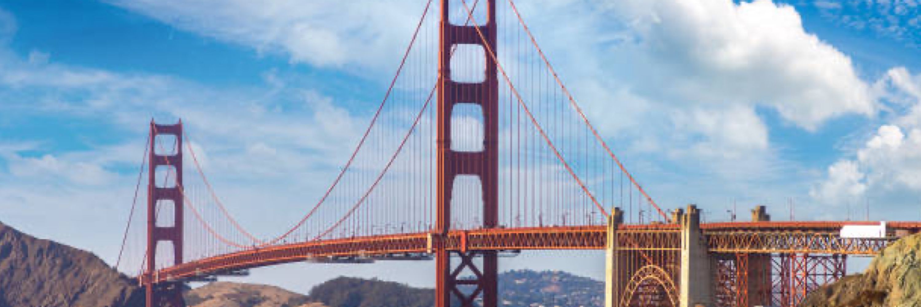 SF Big Dick