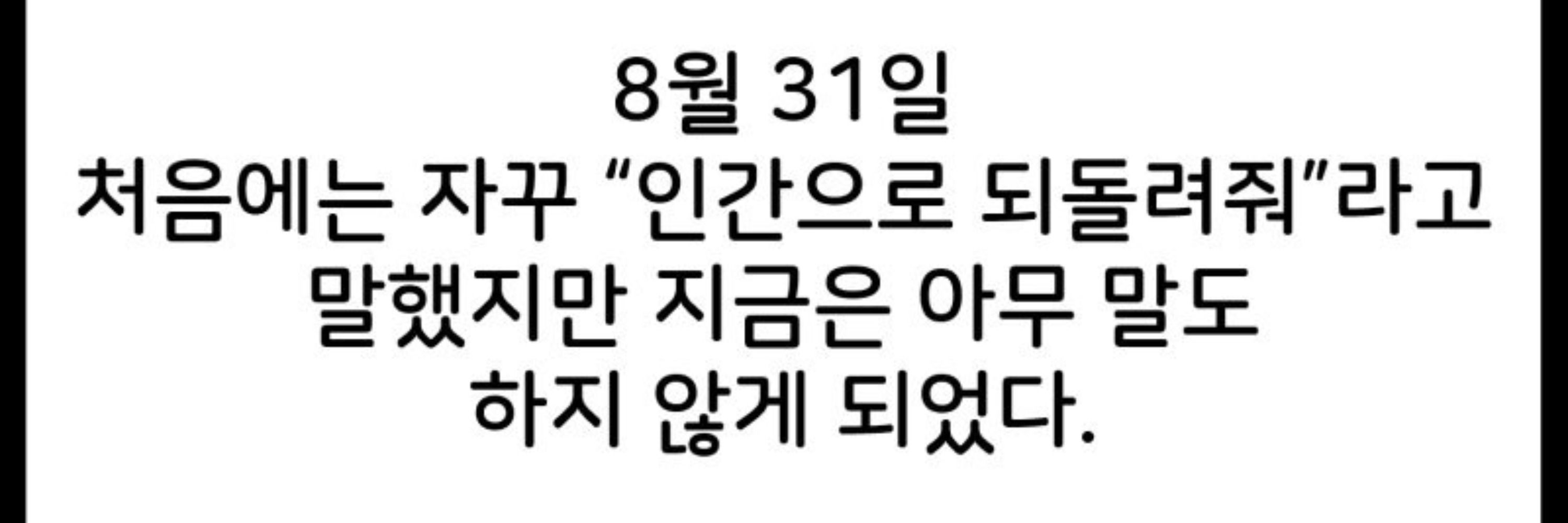 코튼가드