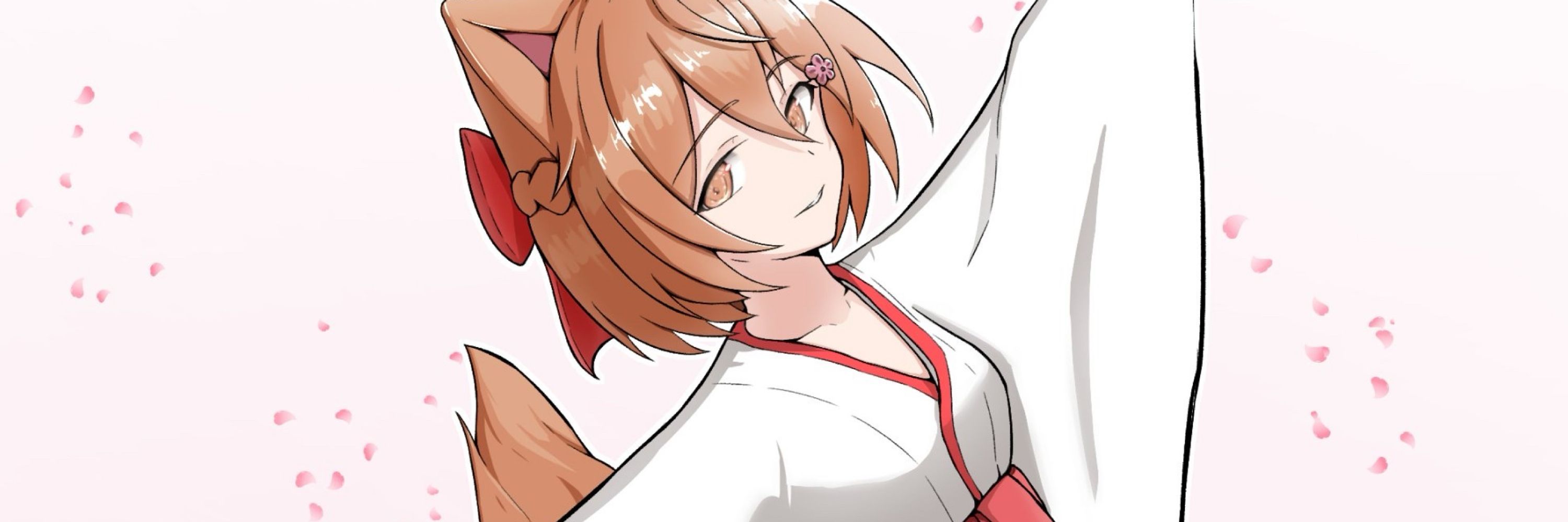 しばっち＠柴犬猫