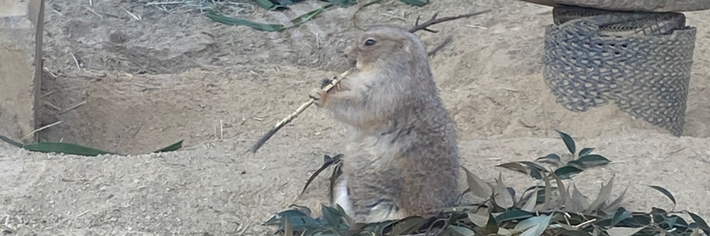 明石まちかど