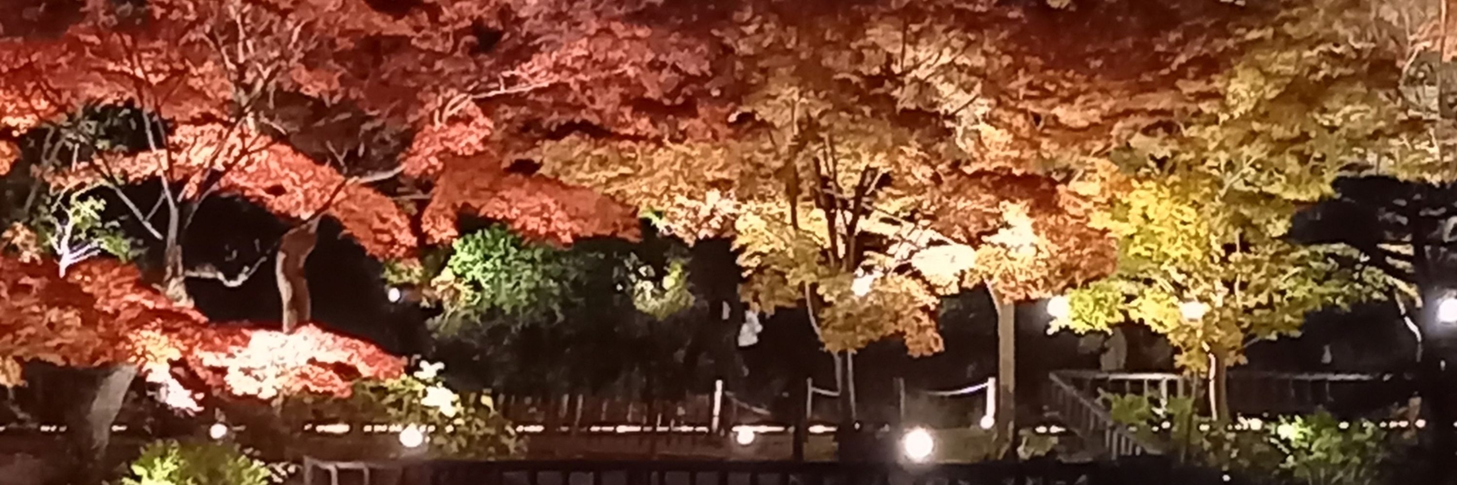 ラザロ(Lazarus )