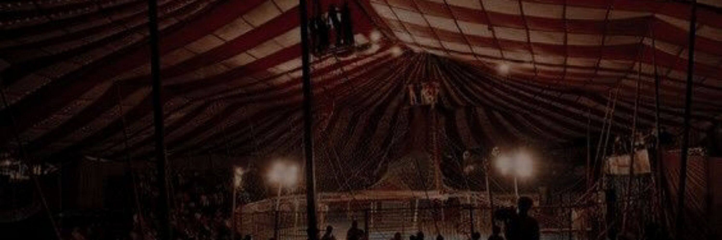 🎪ㅤㅤㅤㅤ╱ㅤㅤㅤ𝑝 𝑖 𝑝 𝑝 𝑖 𝑛ㅤㅤㅤ✮