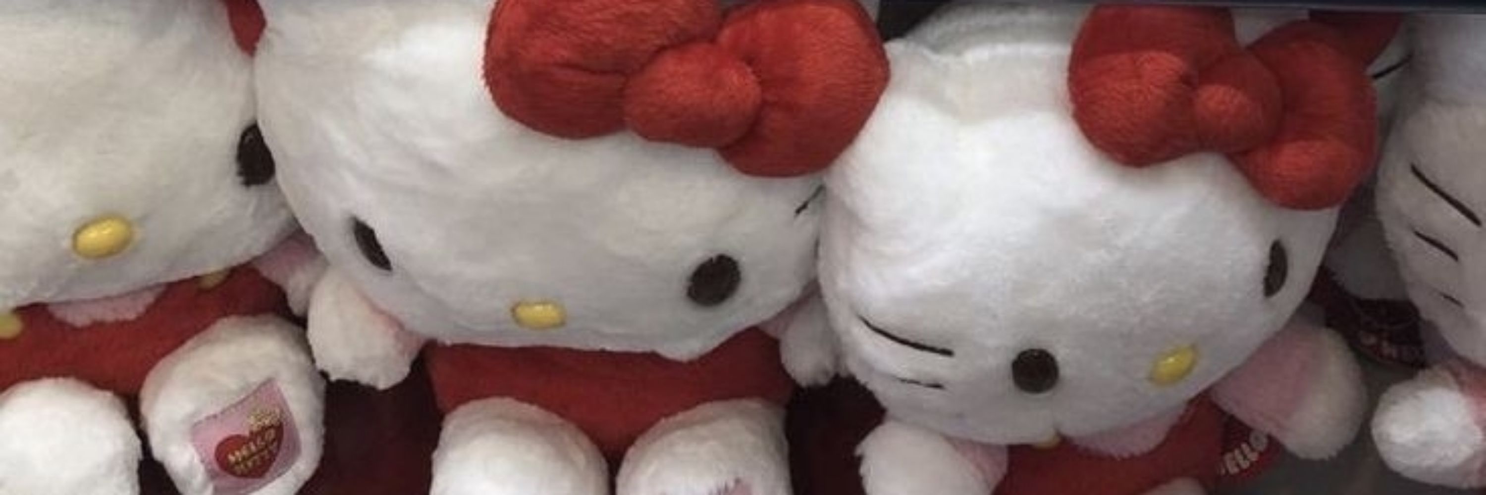 𝑴𝑖𝑎𝑧𝑜𝑐𝑎 !🐱