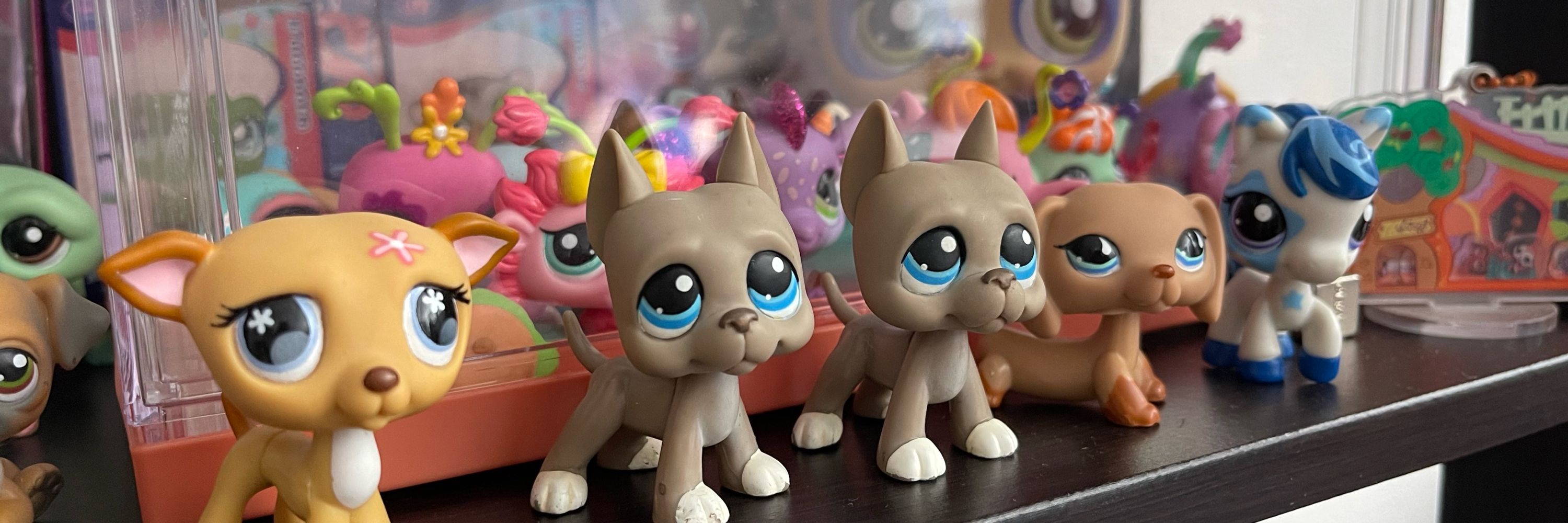 Fae the Littlest Pet Shop