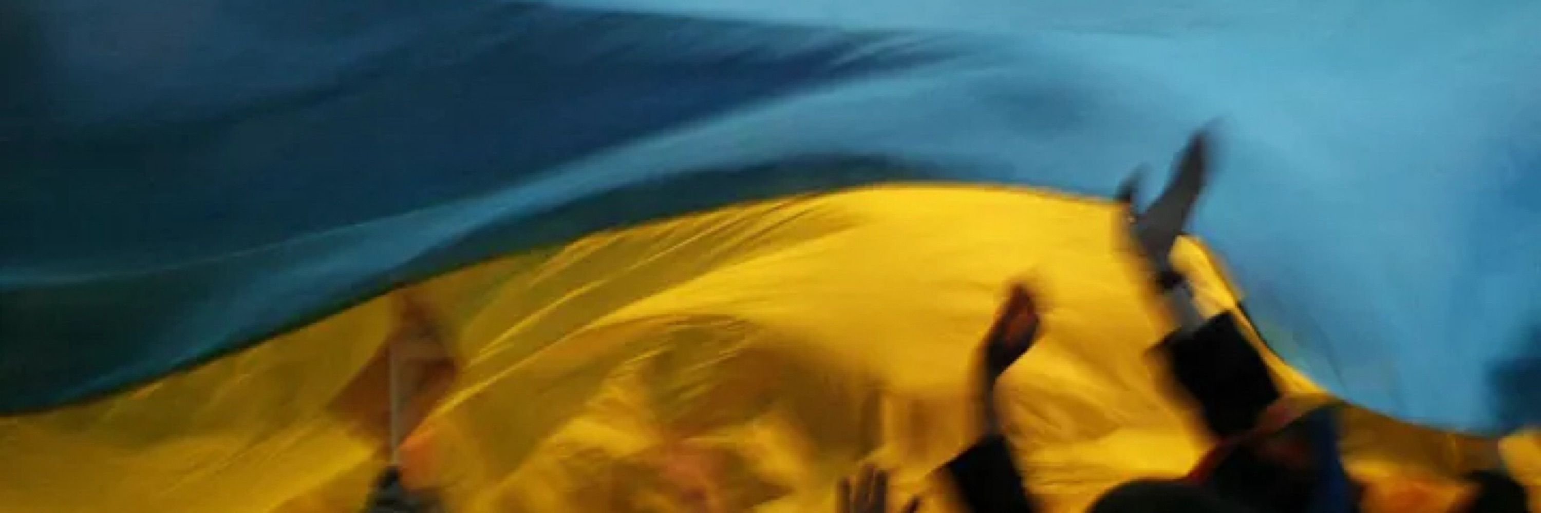 Вуйко💙💛