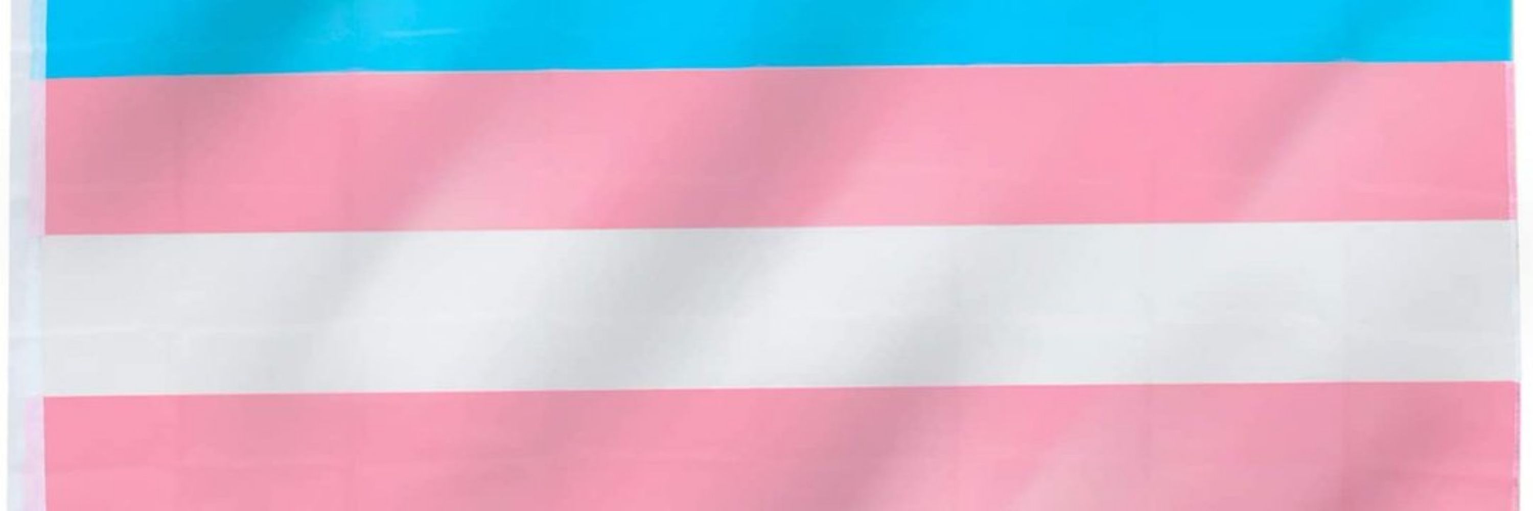 Divulgação Trans🏳️‍⚧️