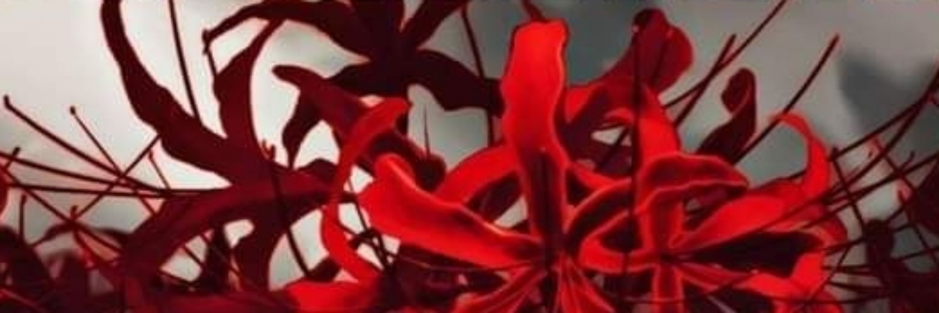 Red System
