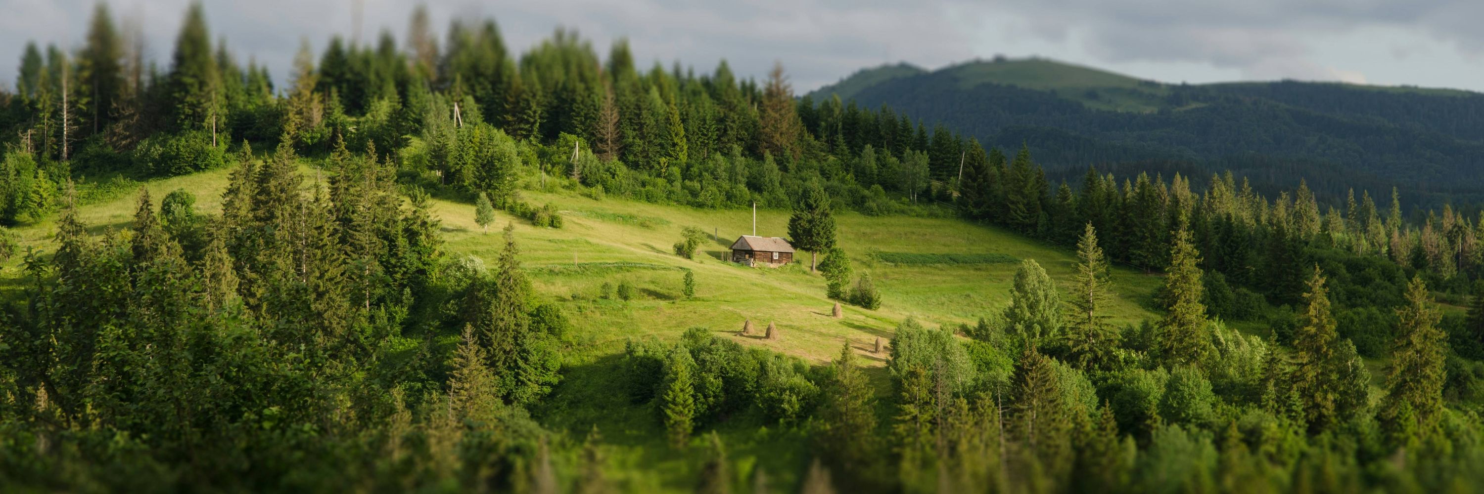 derRaab