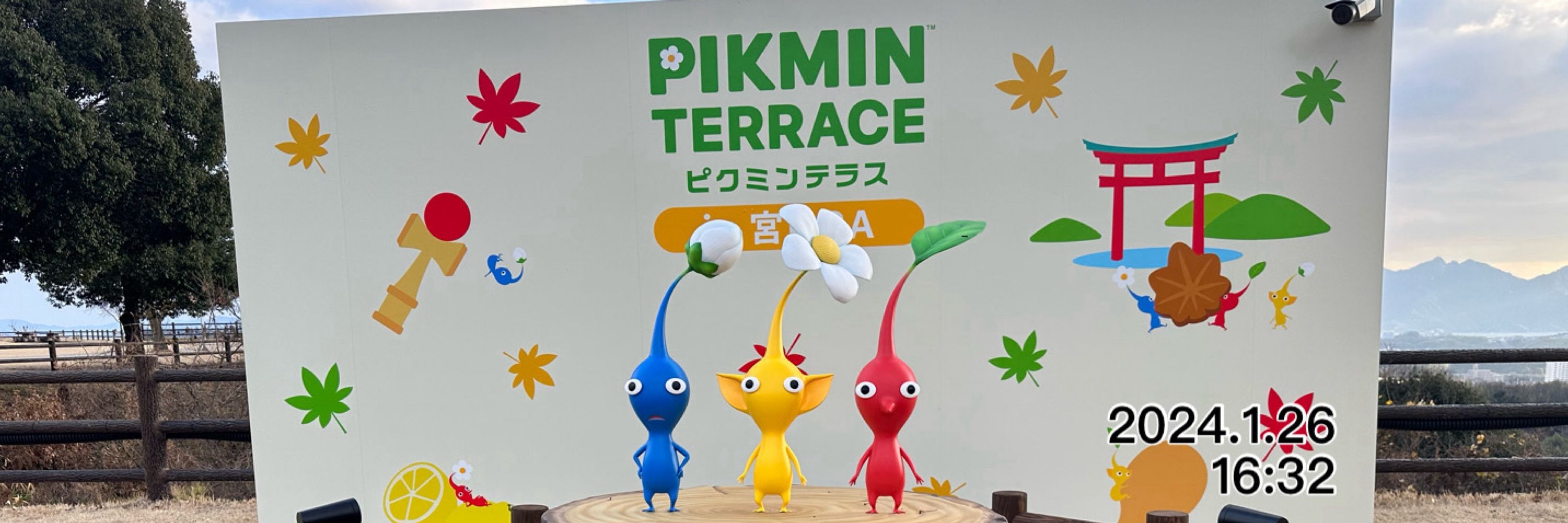 埼玉ピク民