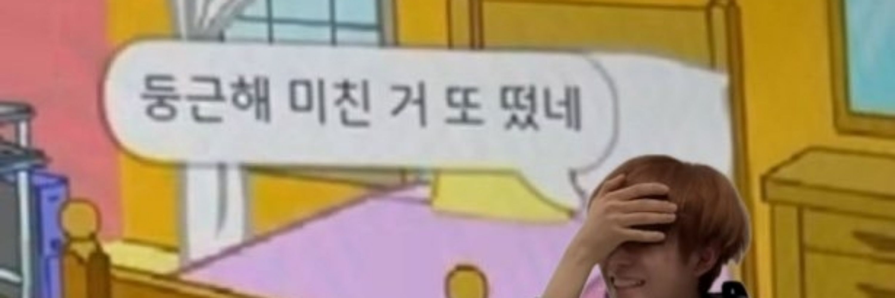 💛💚닌란(윤진100주년을 향해)💛💚