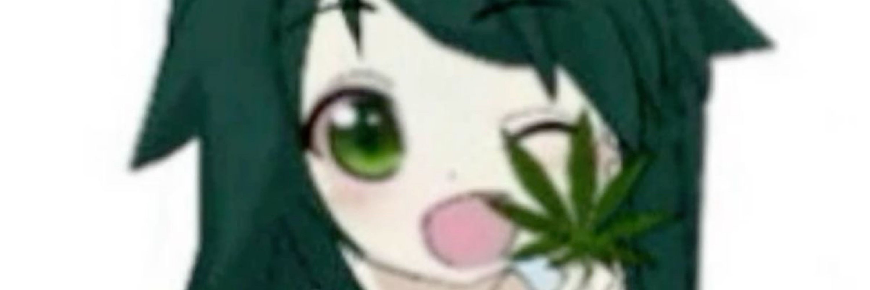 miu ╋━