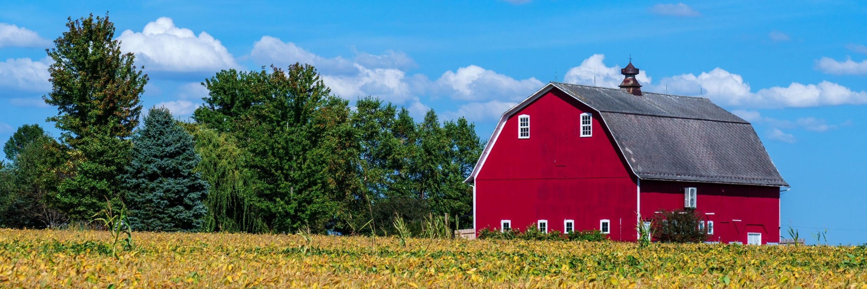 Barns44