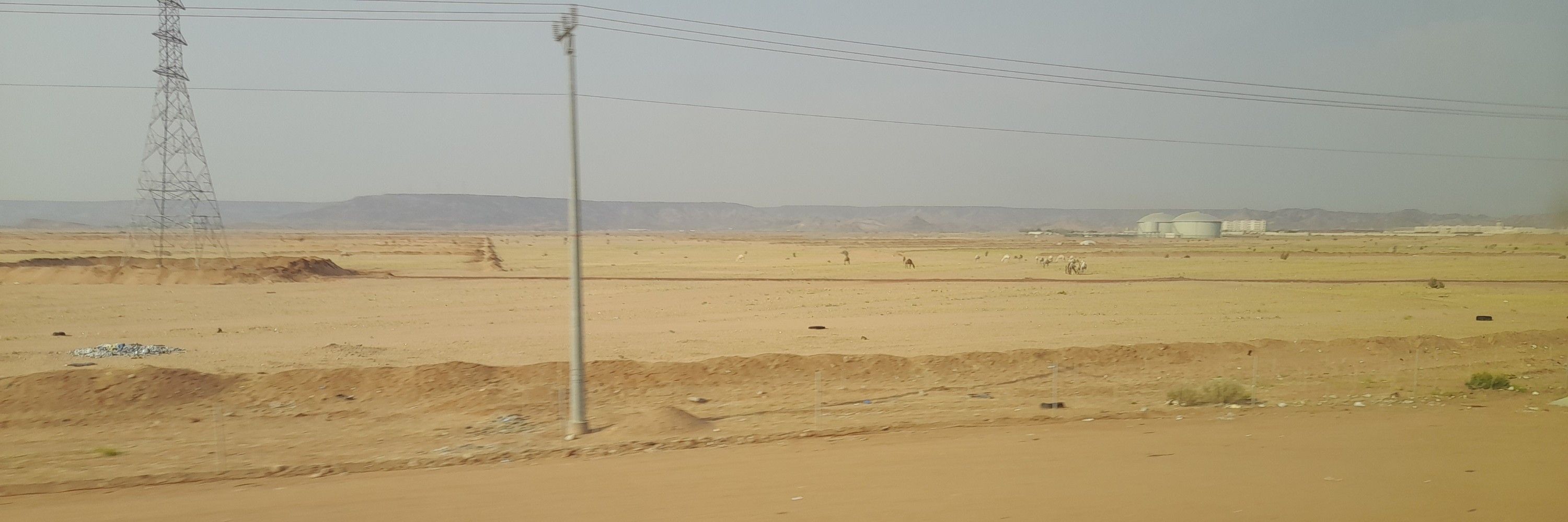 Ahmed no oil