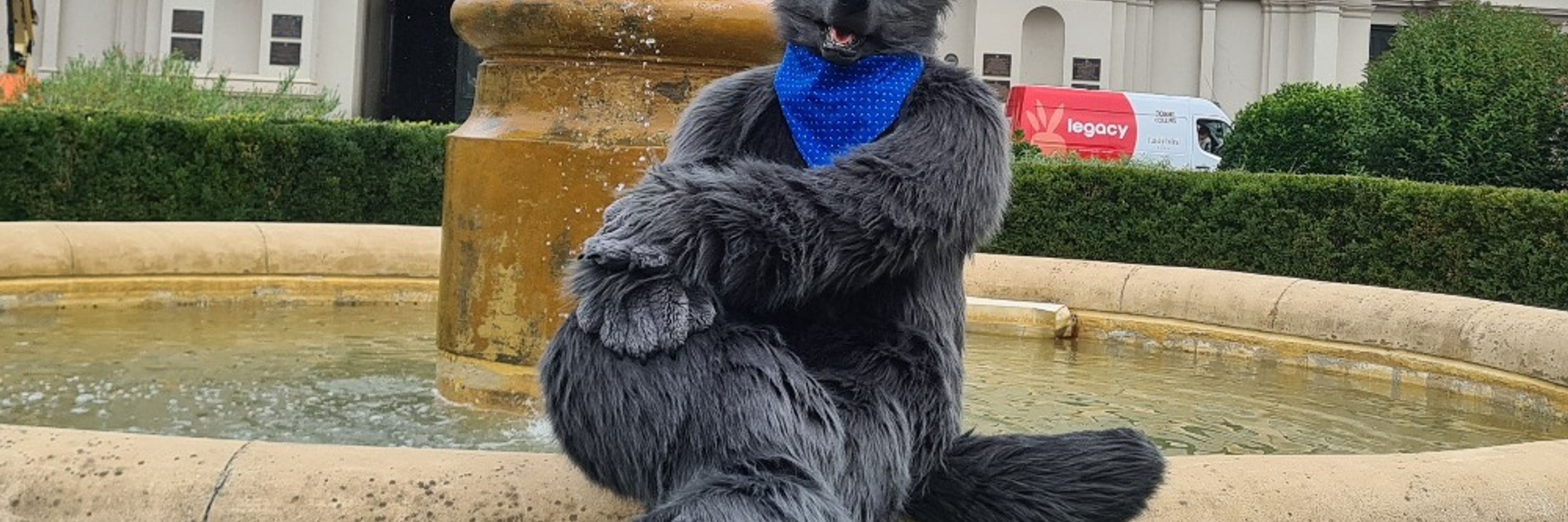 Nero Wolf