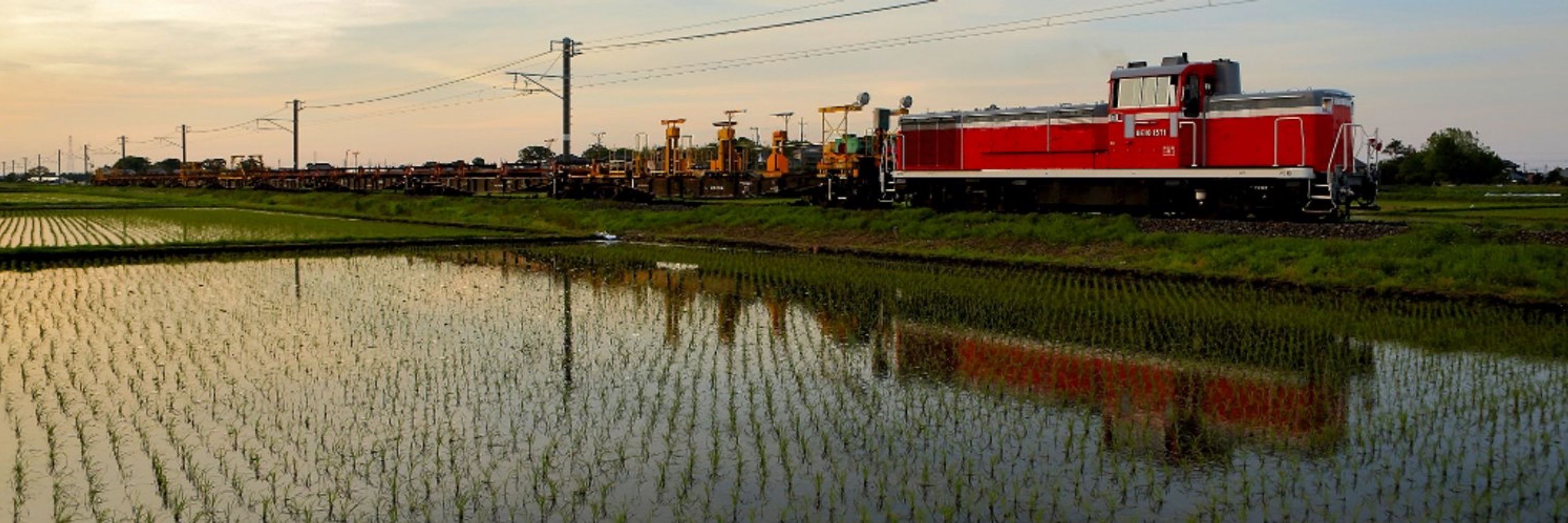 train_65535