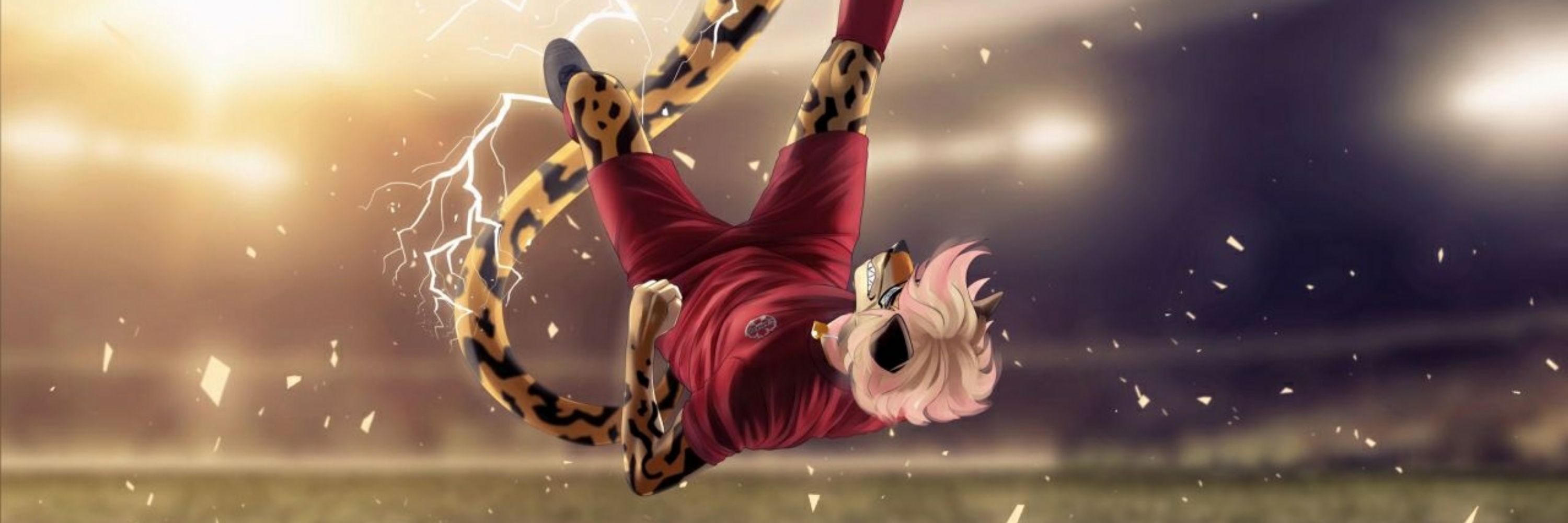 Chisoku King