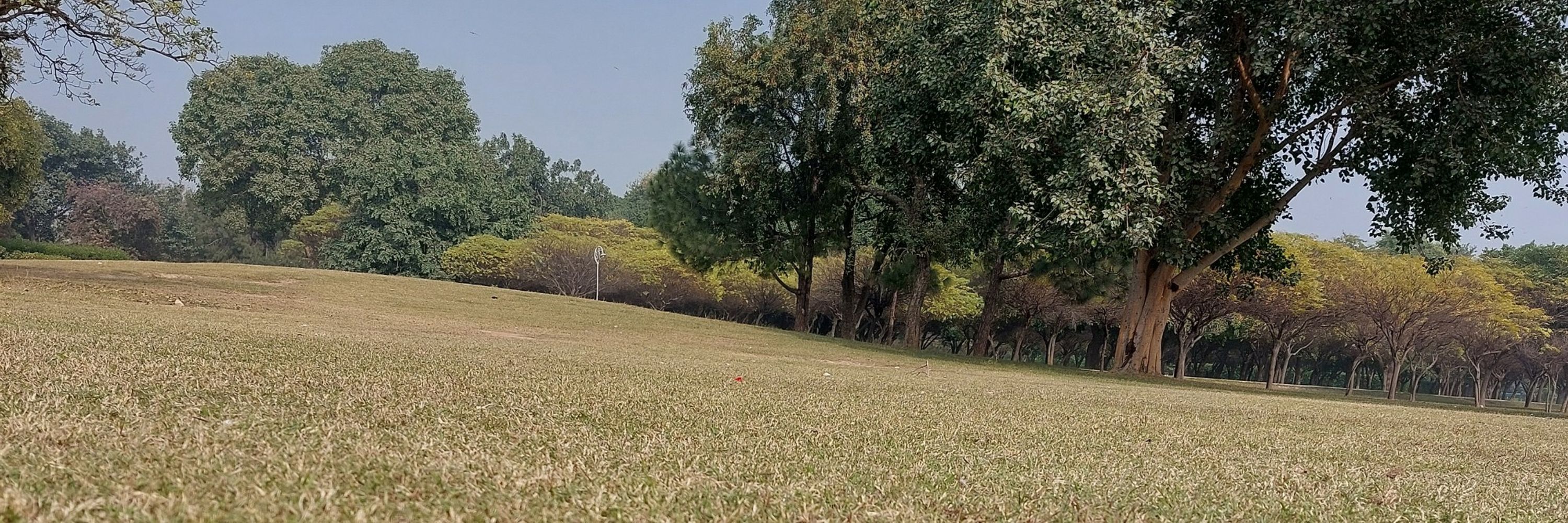Rao Muhammad Waqas