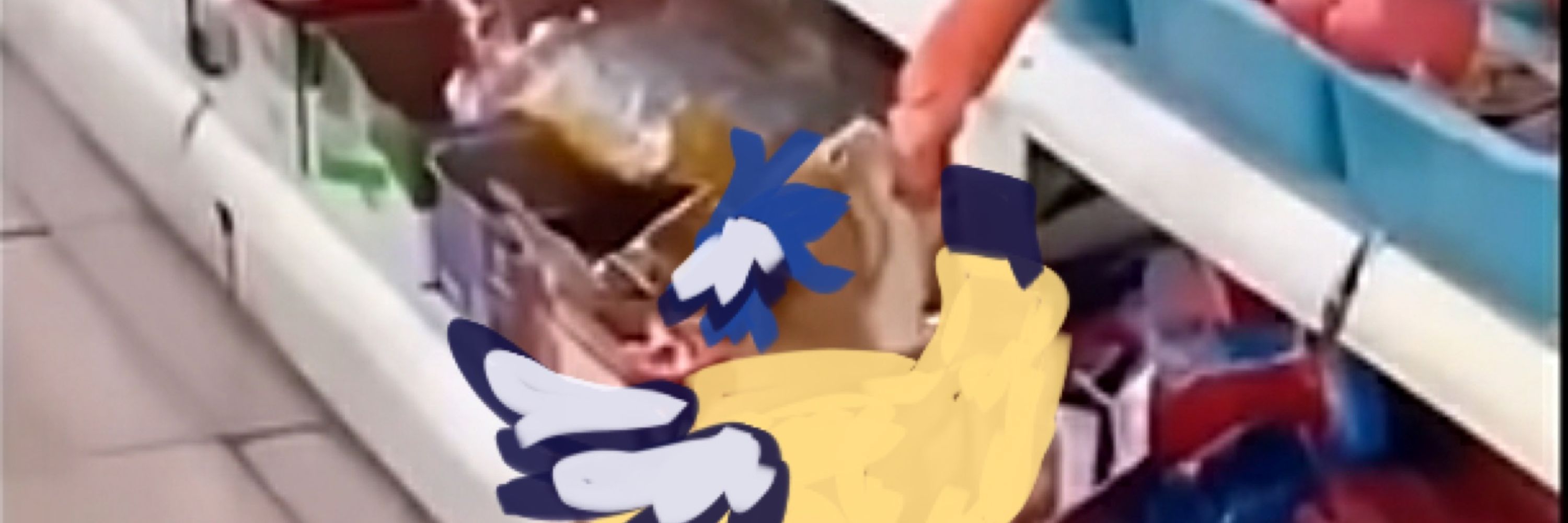 Gad