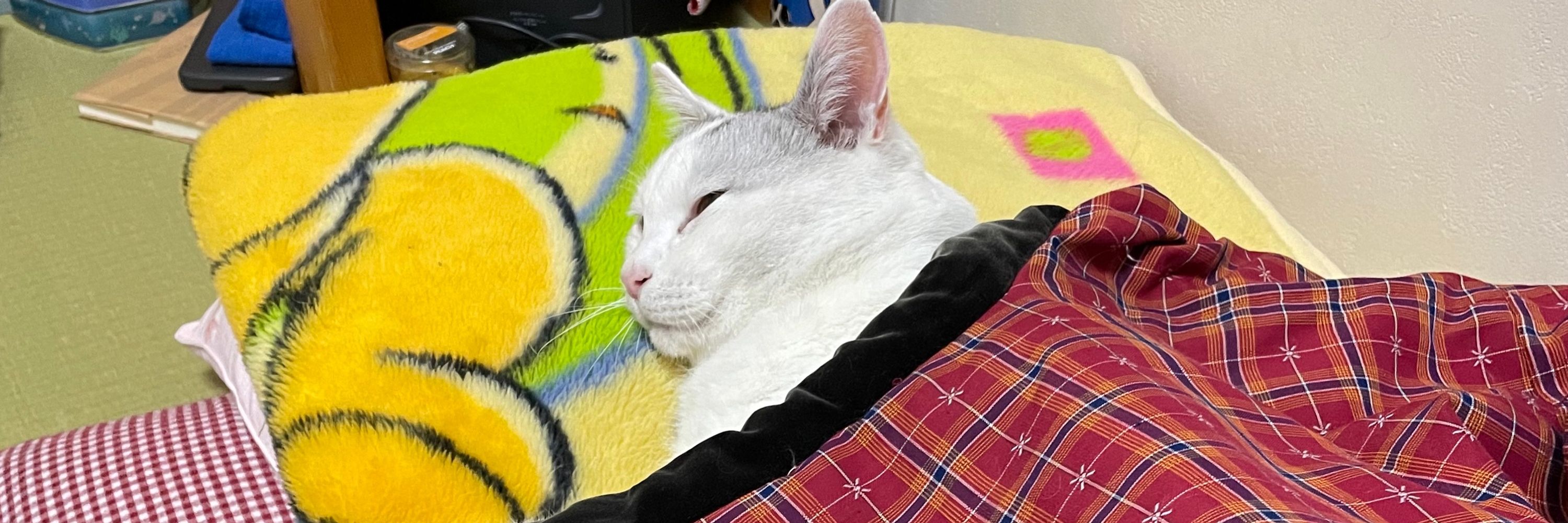 pępõ