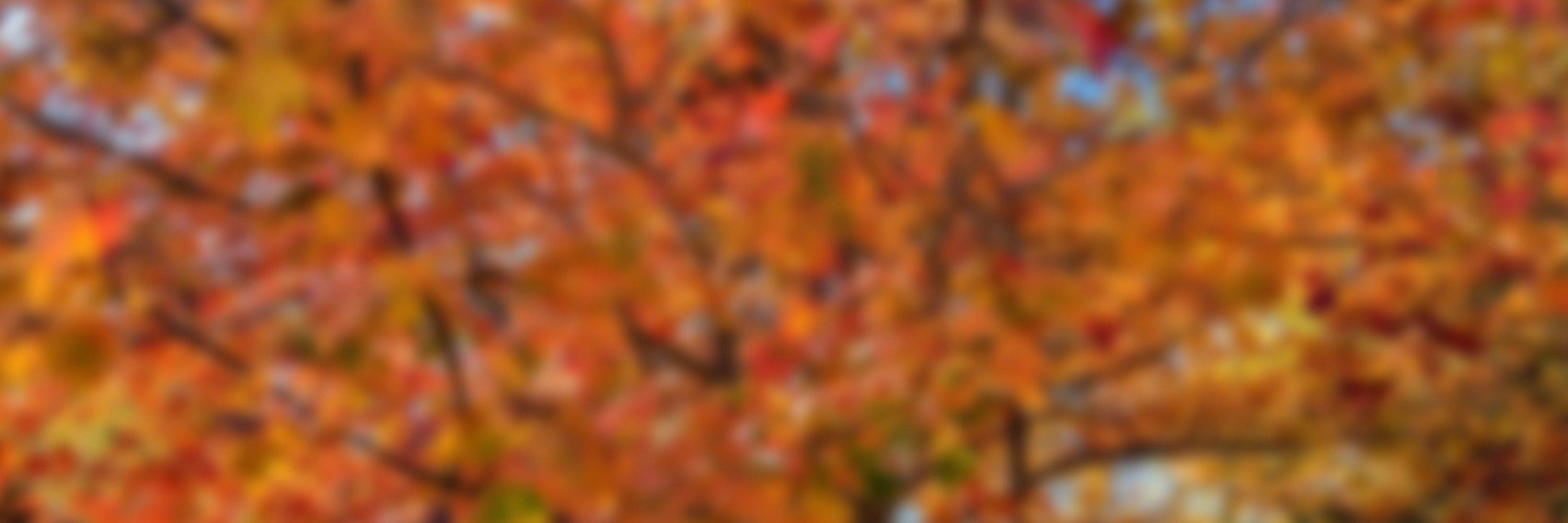 Maplelike Games