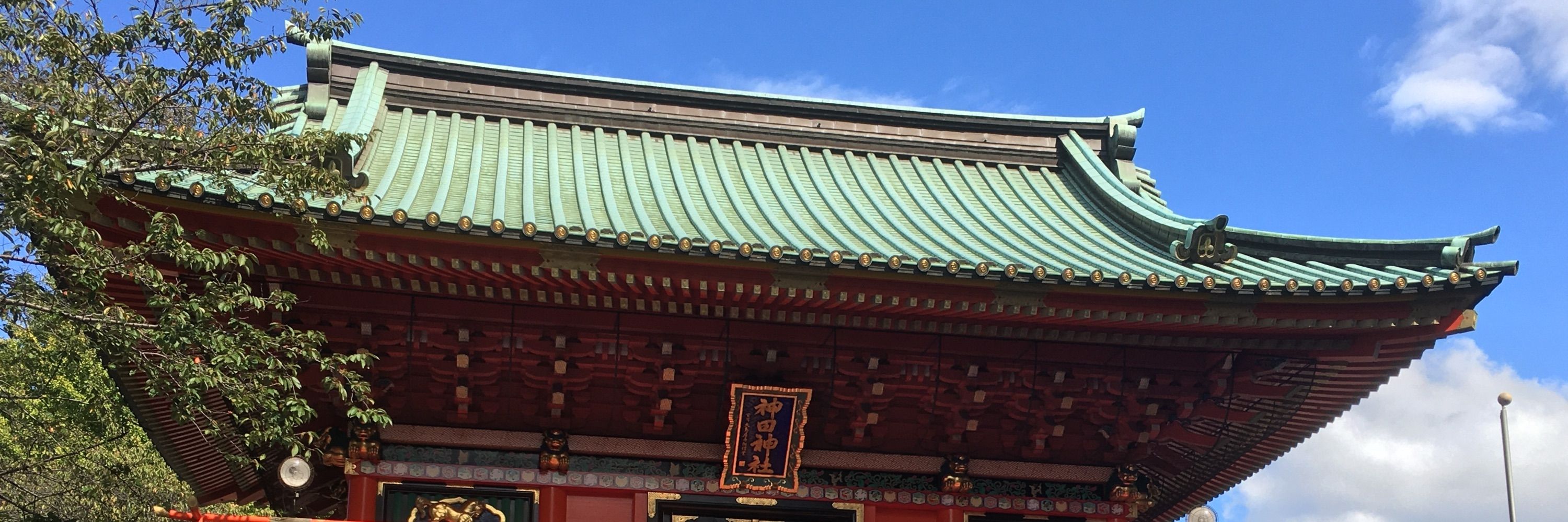 コクネギ