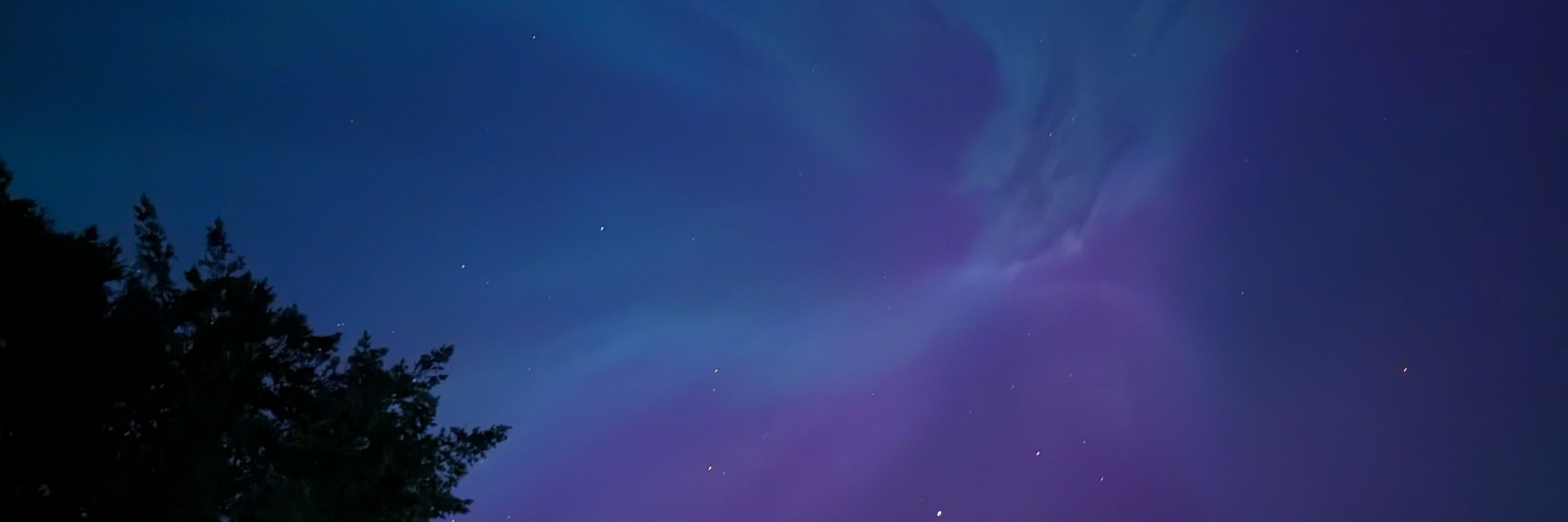 B.