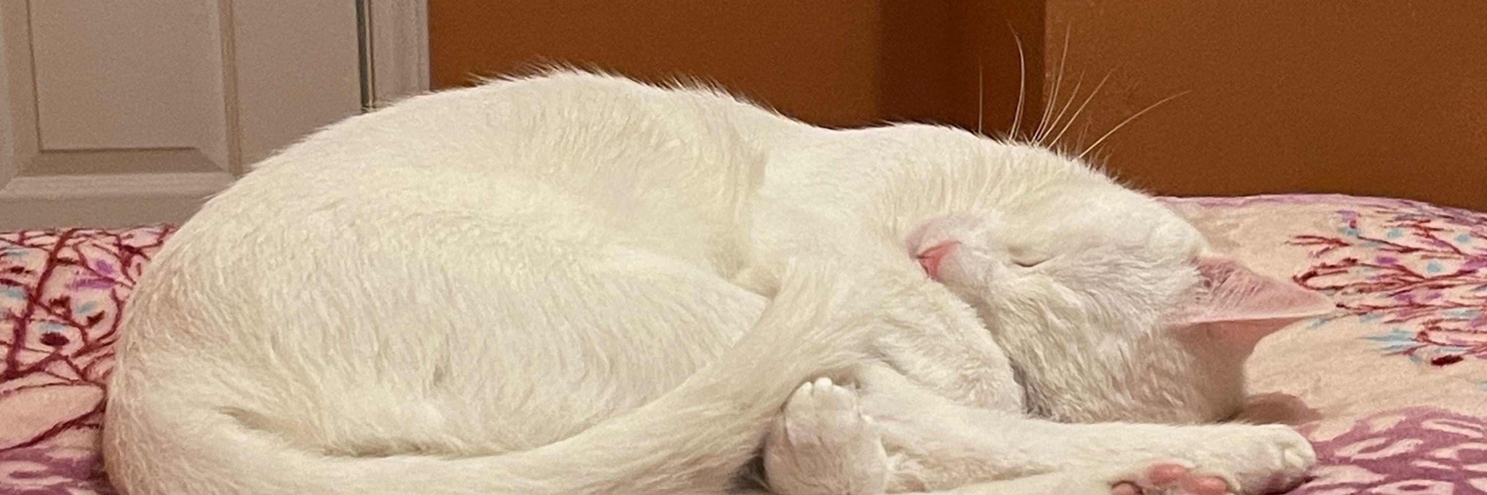 lu