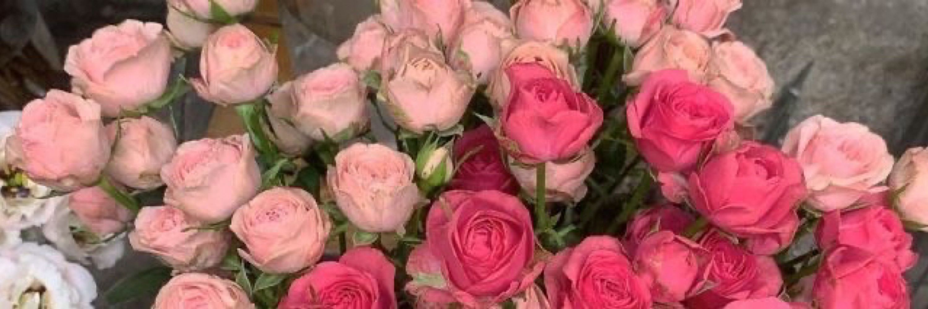 manu🌷