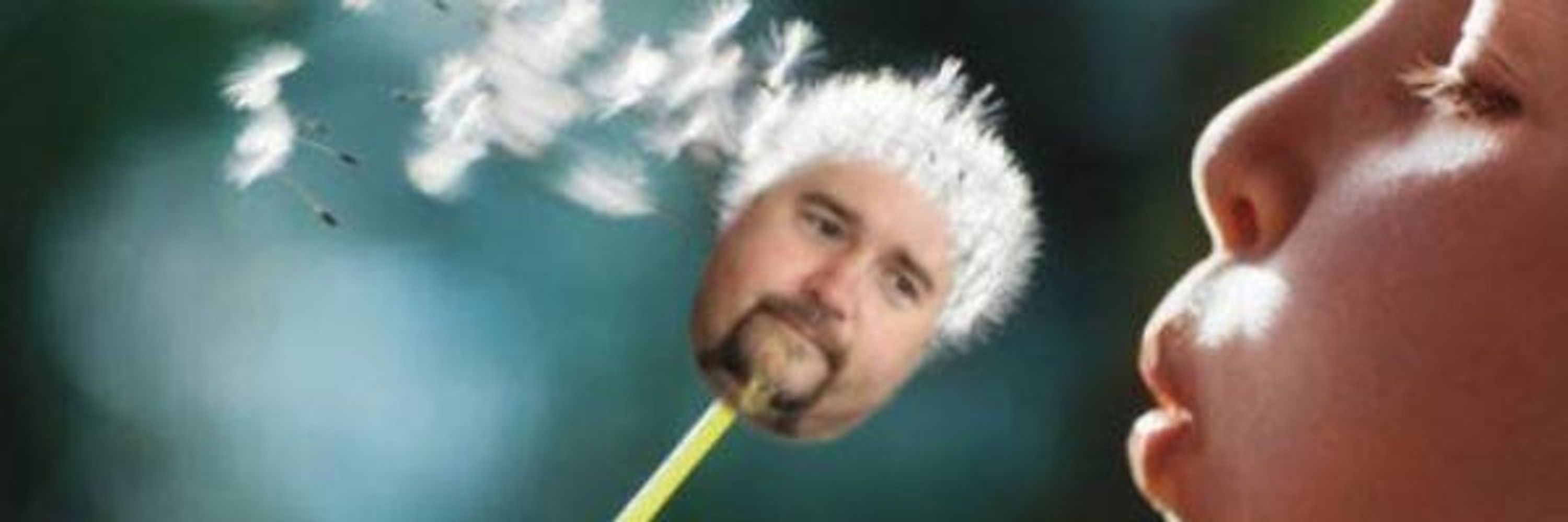 ledgerewskie