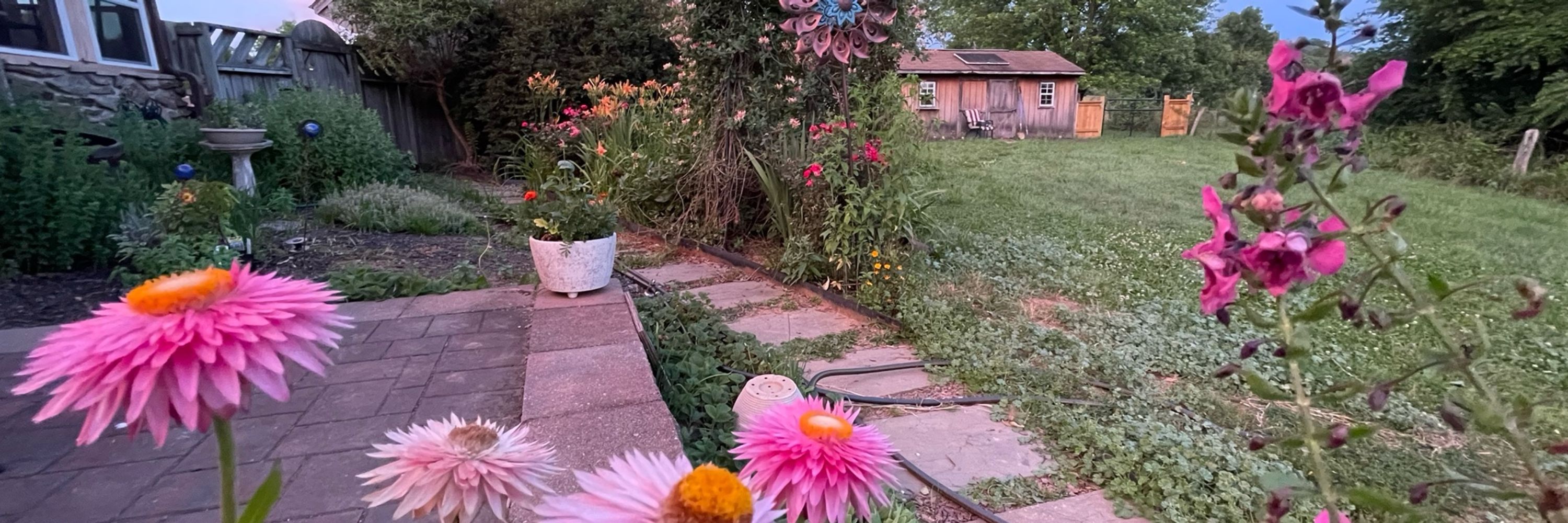 WhimsyMonger